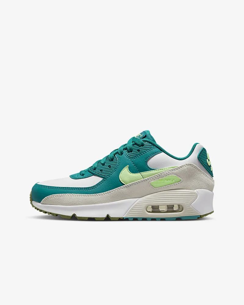 Chaussures Air Max 90 Ltr pour Homme