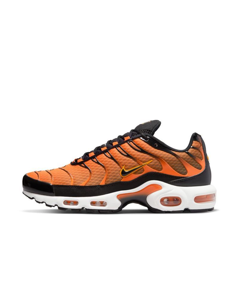 Chaussures Nike Air Max Plus pour Homme