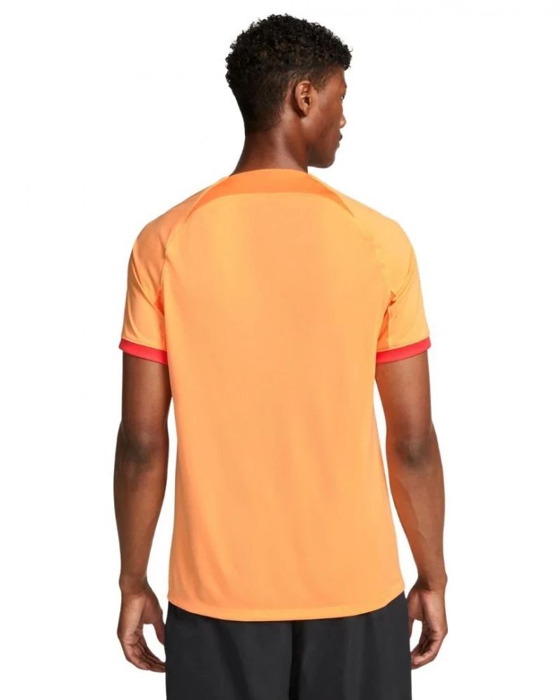 Camisola de futebol Nike Clubs para Homens - DN2711