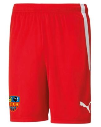 Short GFCA Handball pour homme