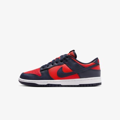 chaussures nike dunk low retro pour homme dv0833 601