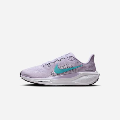 chaussures nike pegasus femme fd2723 500