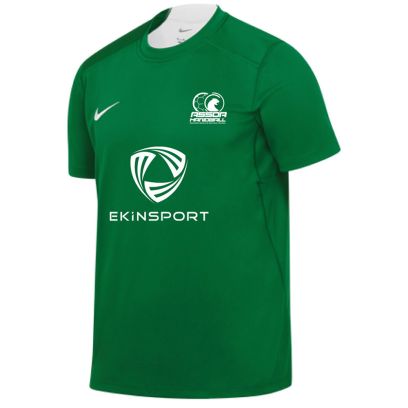 Maillot de hand ASSOA Handball Vert pour enfant