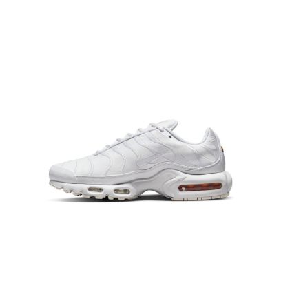 chaussure nike air max plus pour homme aj2029 100