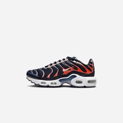 chaussures nike air max plus pour enfant cd0609 408