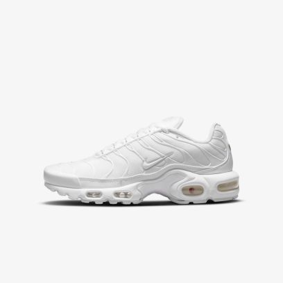 chaussure nike air max plus blanc pour femme dm2362 100