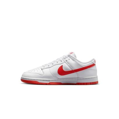 chaussures nike dunk low retro blanc pour homme dv0831 103