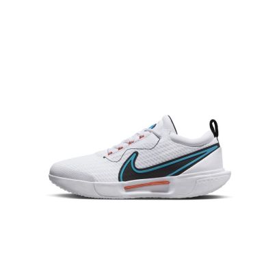 chaussures nike court zoom pro hard court dv3278 101