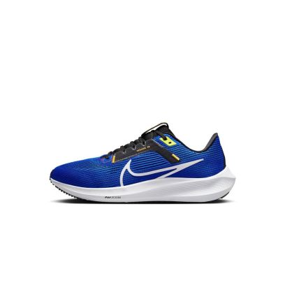 chaussures-running-nike-pegasus-40-homme-dv3853-401