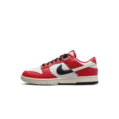 chaussures-nike-dunk-low-retro-prm-pour-homme-dz2536-600