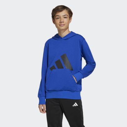 sweat a capuche essentials climacool adidas enfant jc9674