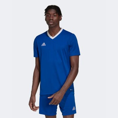 maillot adidas entrada 22 bleu royal pour homme zg486 hg6283