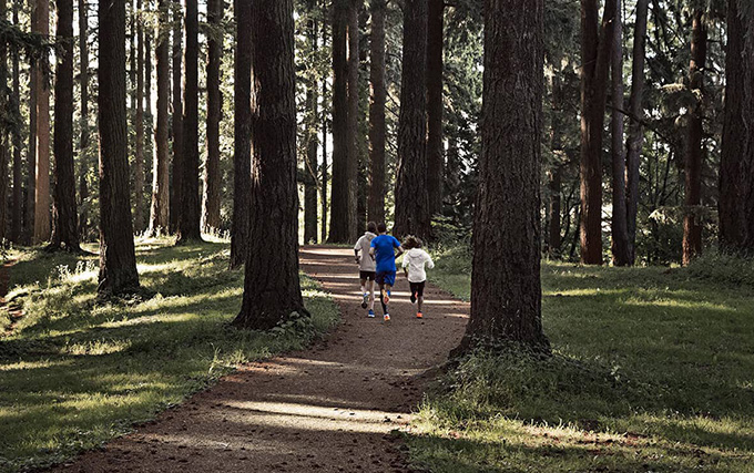 Groupe qui court en forêt