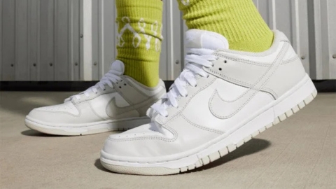 Sapatos Nike Dunk